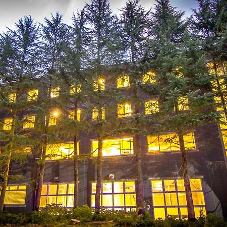 Hakuba Eagle Lodge Bagian luar foto
