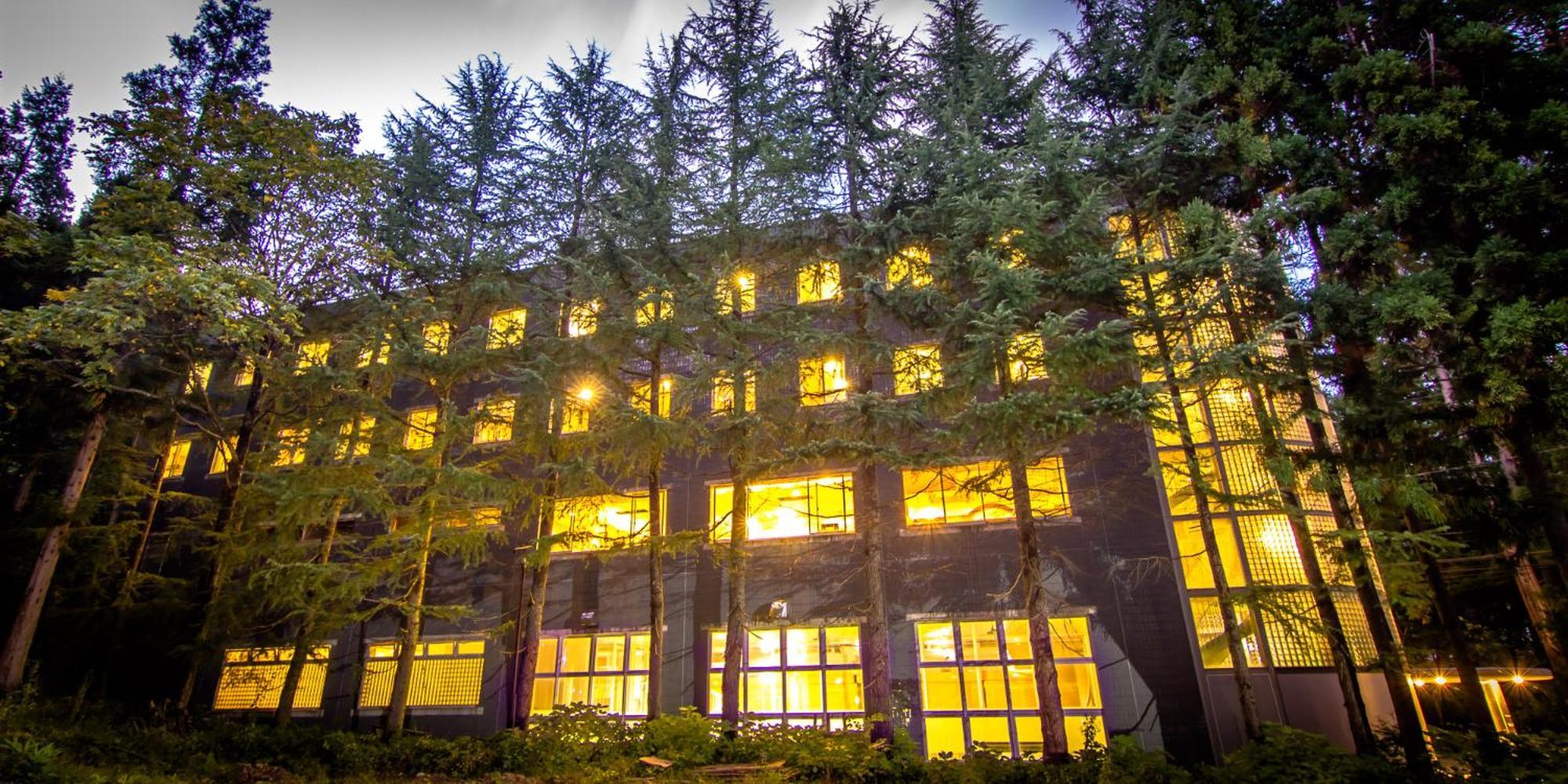 Hakuba Eagle Lodge Bagian luar foto